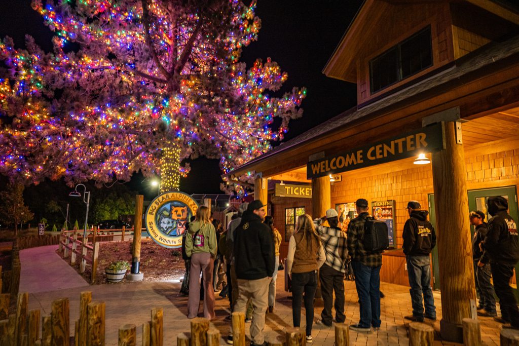 People in line at night for the Big Bear Alpine Zoo lights event