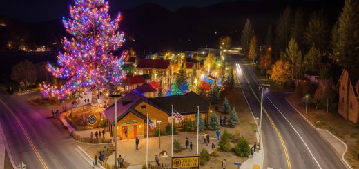 Aerial view of Big bear zoo at night with a large Christmas tree of lights.