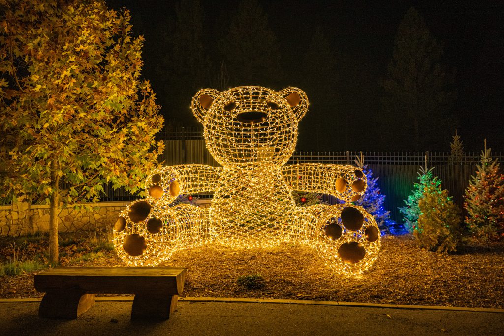 Image of large teddy bear of lights at night in the fall