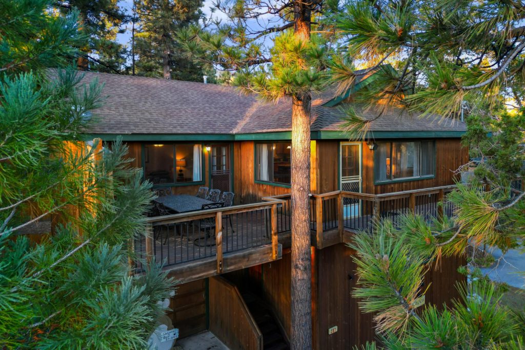 Exterior view of a Bear Escapes cabin surrounded by tall pine trees with a spacious deck.