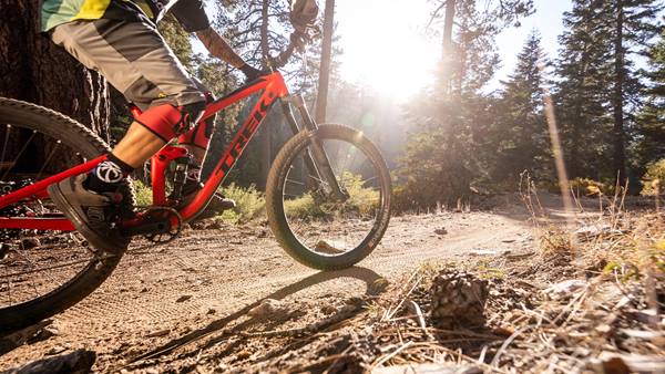 A mountain biker rides a forest trail at Big Bear in bright sunlight.