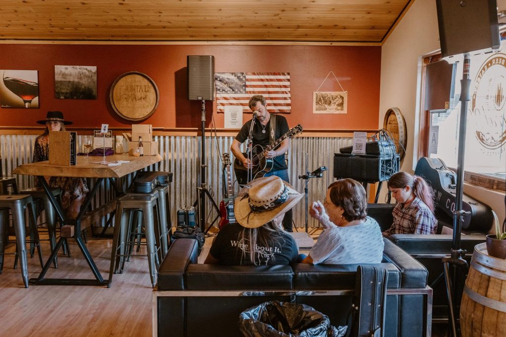 Bearly Famous musician performing acoustic music indoors with guests enjoying the live entertainment
