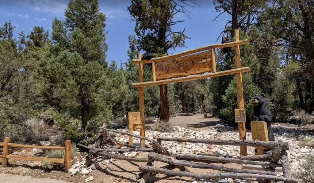A wooden archway with a sign and a black bear statue marks a hiking trail entrance in Big Bear.