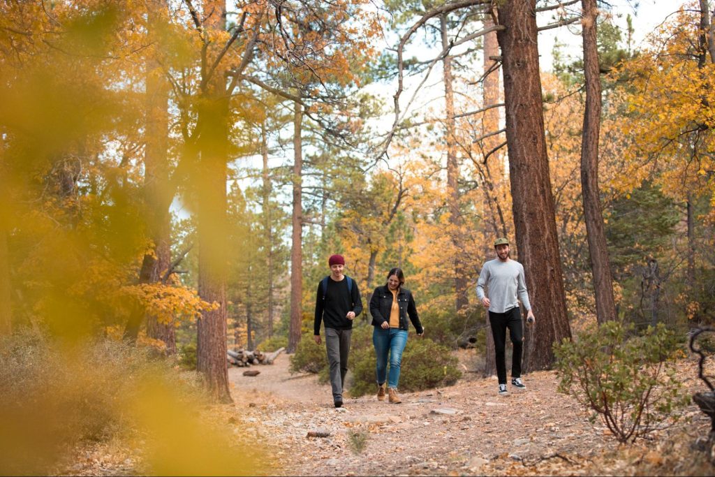 Visitors walking through a scenic Big Bear forest trail surrounded by golden autumn foliage during fall season