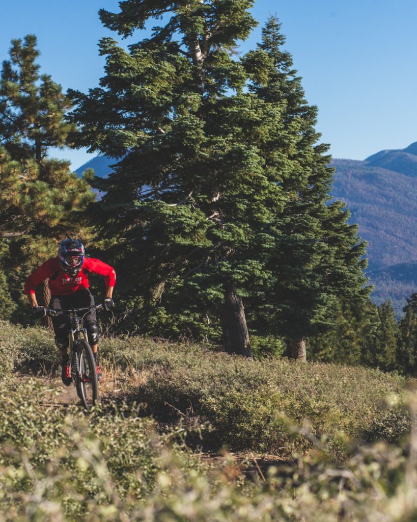 A mountain biker rides along a scenic forest trail surrounded by tall pine trees and mountain views in Big Bear.