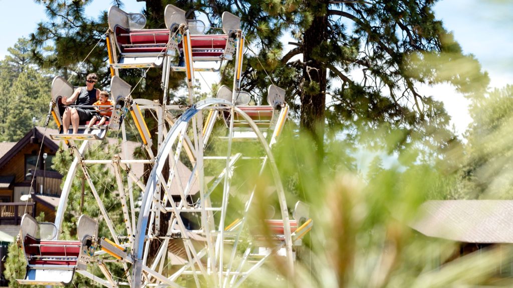 Parent and child enjoying a ferris wheel ride surrounded by tall pine trees on a sunny day