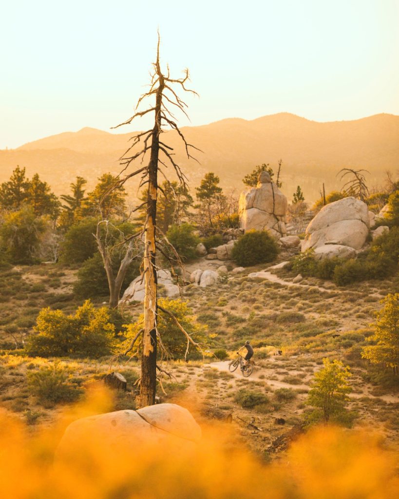 A mountain biker rides through a scenic rocky landscape with pine trees and golden sunset light in Big Bear.