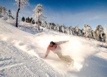 Snowboarder carving through fresh snow on a sunny winter day in Big Bear, surrounded by pine trees
