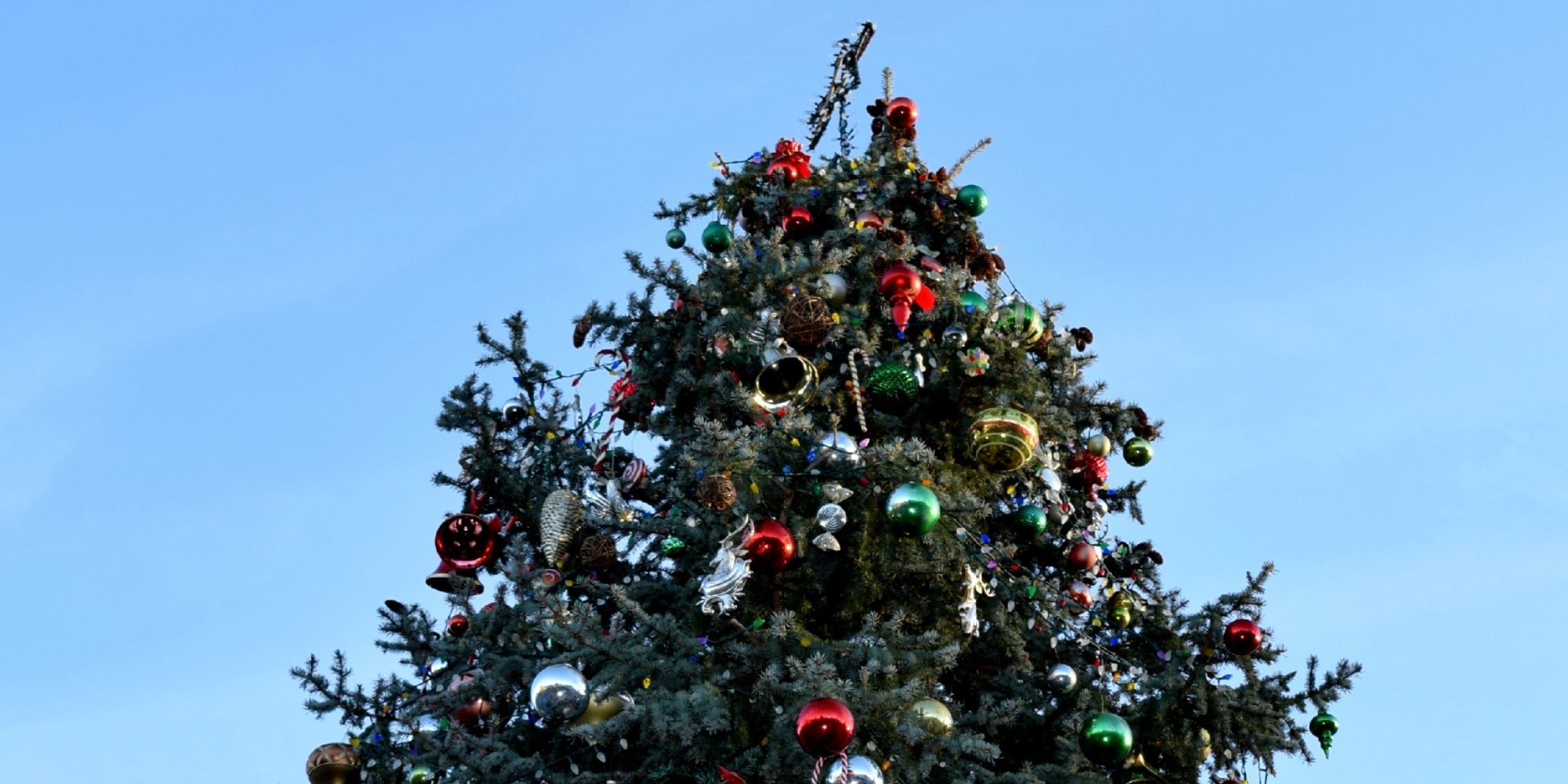 Big Bear Tree Lighting