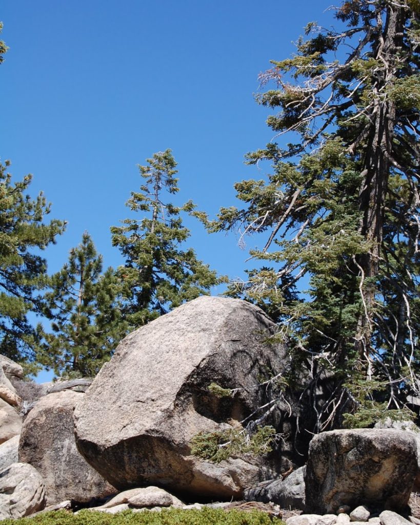 Large granite boulder formations surrounded by pine trees at Bluff Mesa (Little Tibet), a popular bouldering destination in Big Bear.
