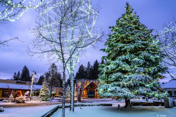 Big Bear Christmas Tree in the Village- Image By Kerry Vale