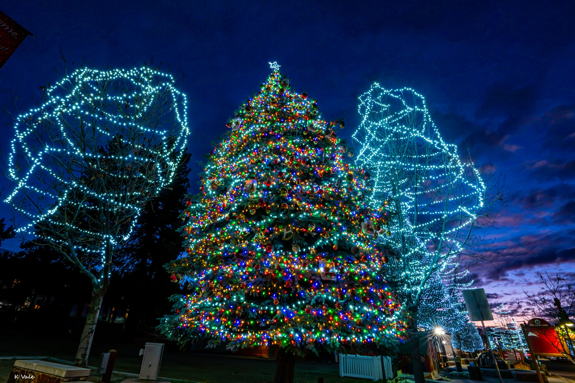 Big Bear Tree Lighting Destination Big Bear