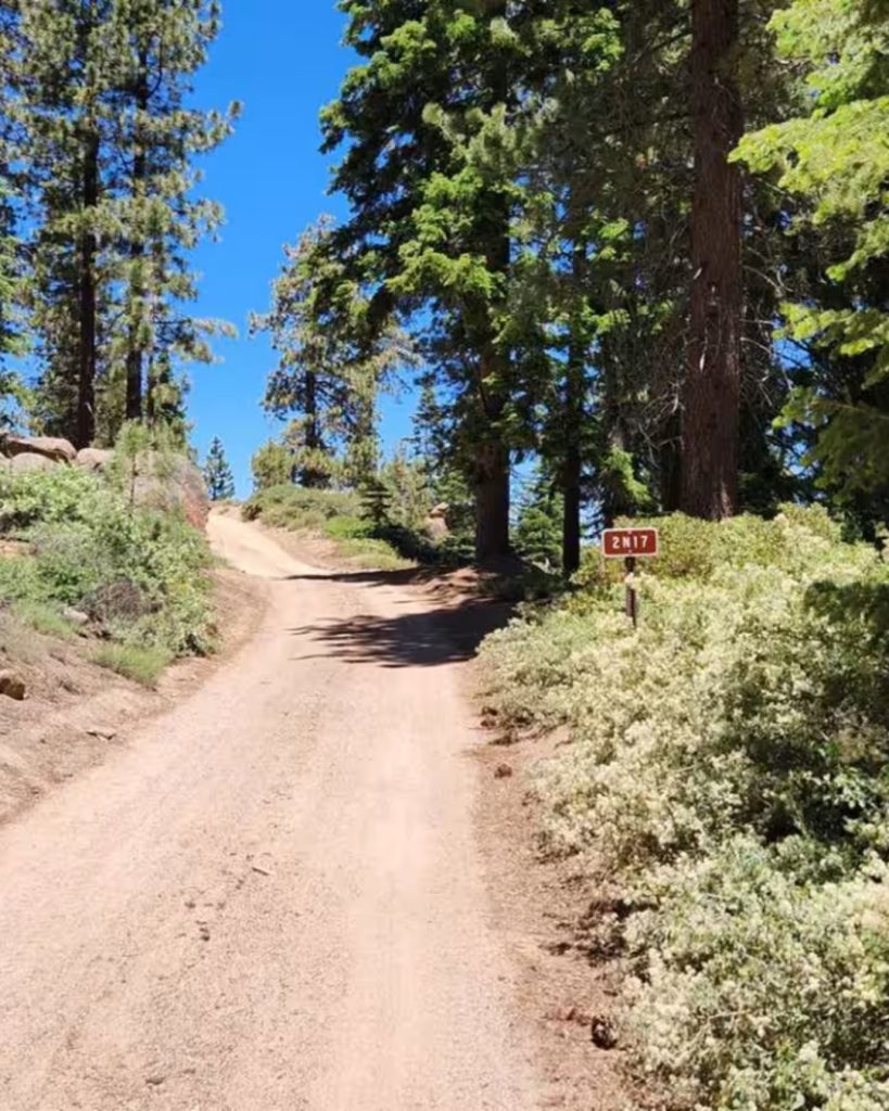 Dirt section of Camp Osito Road (FS 2N17) surrounded by towering pine trees and lush forest scenery in Big Bear.