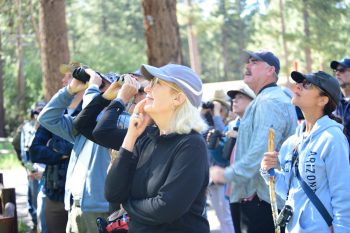 Group of visitors participating in a wild bird walk with Chirp Nature Center using binoculars in the forest