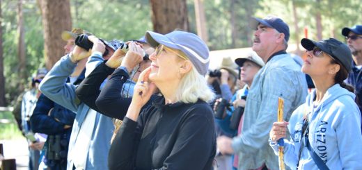 Group of visitors participating in a wild bird walk with Chirp Nature Center using binoculars in the forest