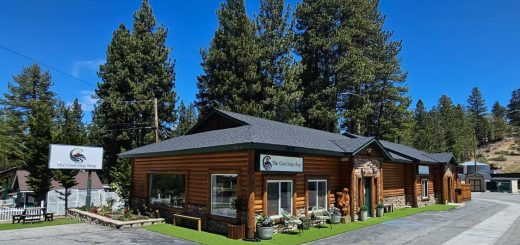 Exterior view of The Cool Stop Shop in Big Bear featuring a rustic log cabin storefront surrounded by pine trees.