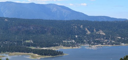 California National Forest