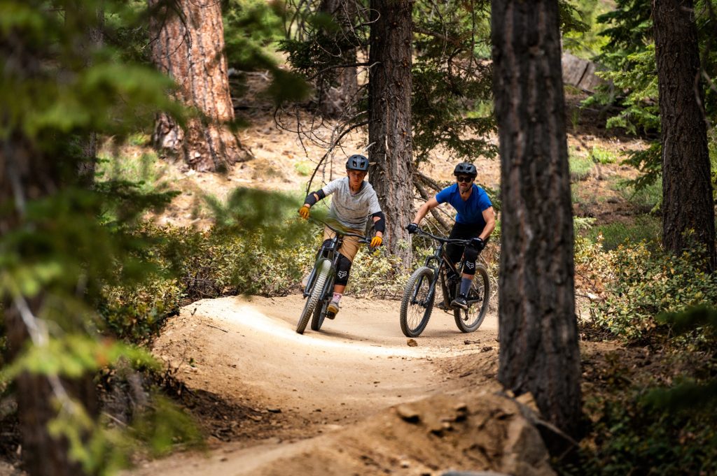 Two mountain bikers riding on a dirt trail through a pine forest in Big Bear