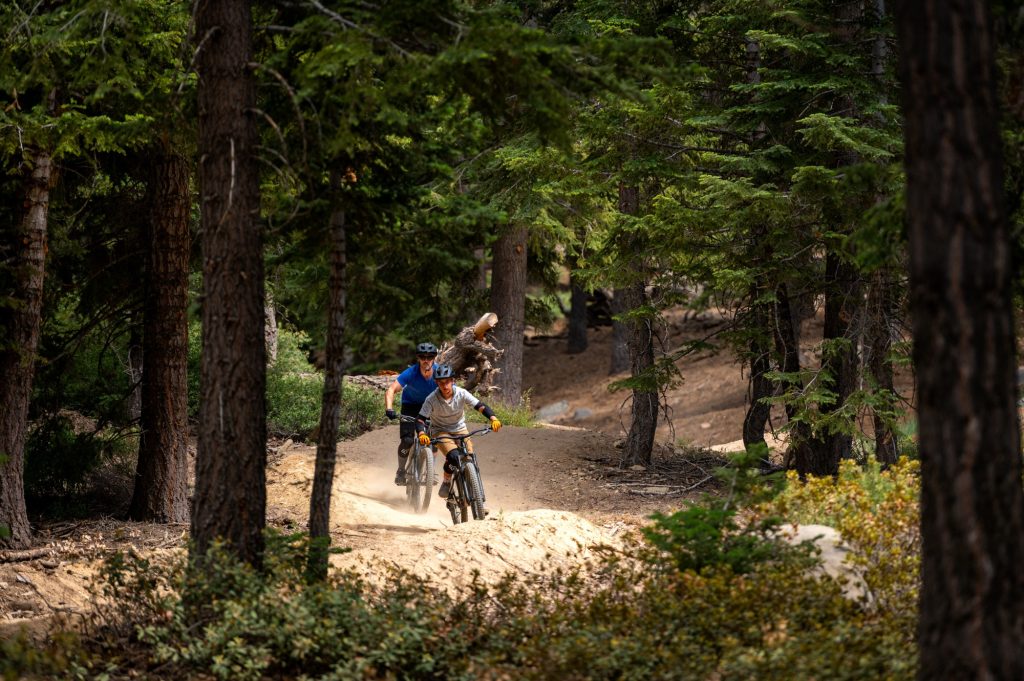 Mountain bikers riding through a forest trail in Big Bear Lake surrounded by pine trees