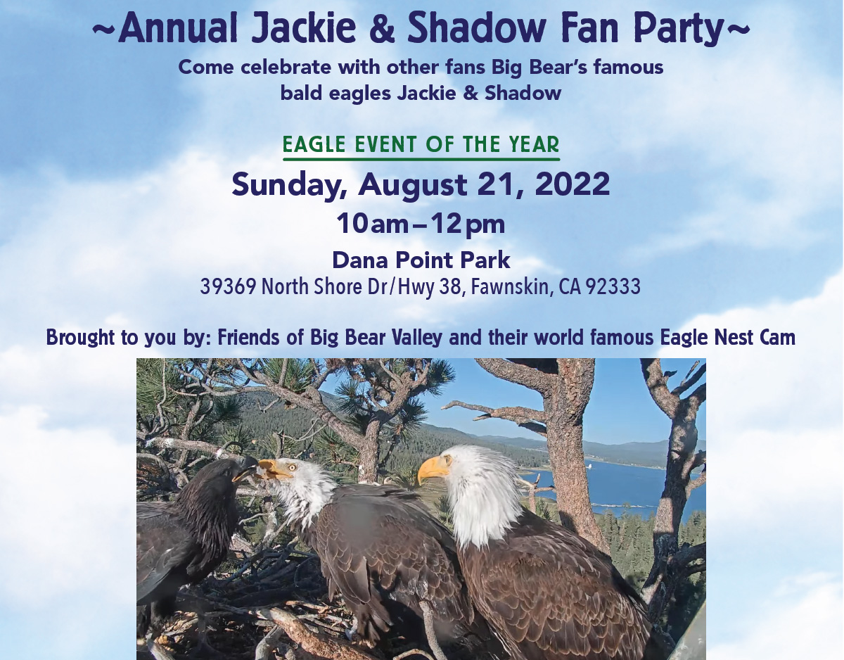 Family Fun in Big Bear Lake Outdoor Adventure Days