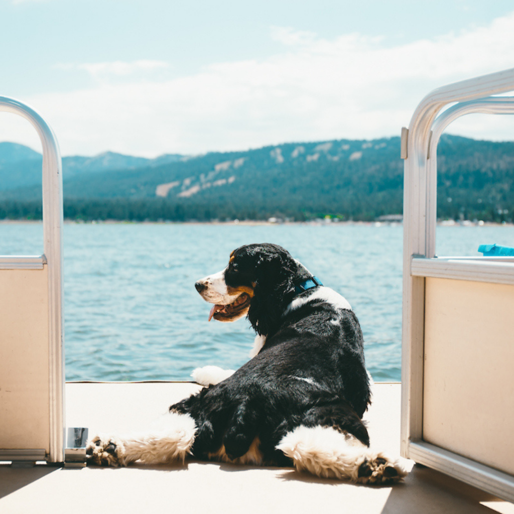 Big Bear Lake Boating and Fishing Big Bear Cabin Rentals