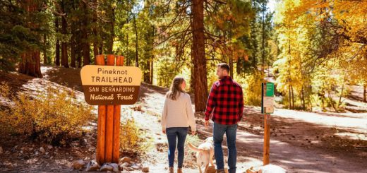 A couple walks their dog in the snow near a sign for Big Bear Lake, surrounded by a winter landscape