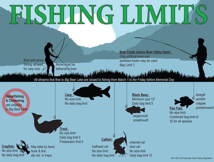 Fishing limits infographic for Big Bear Lake showing regulations for carp, trout, bass, catfish, and panfish, including bag limits, size limits, and seasonal rules.