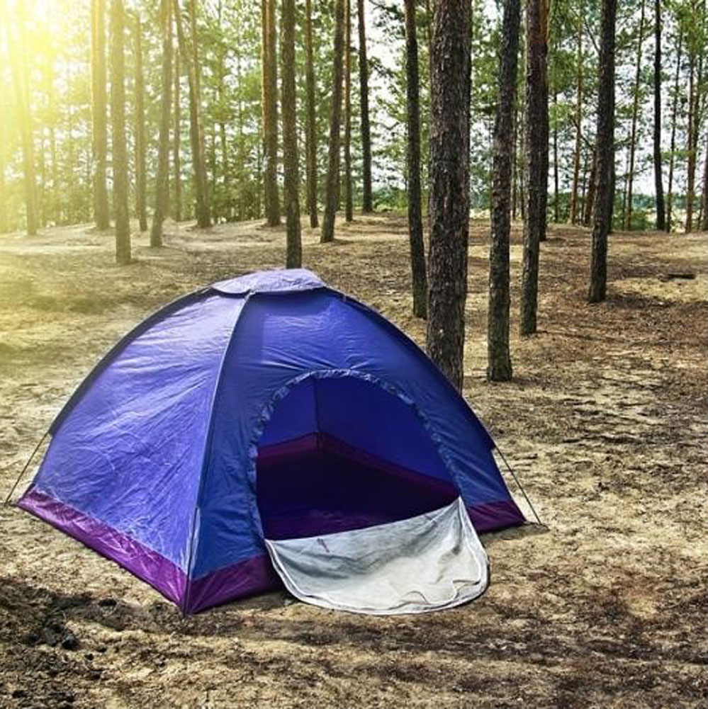 Camping tent set up in a pine forest with sunlight filtering through trees creating a peaceful outdoor scene