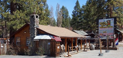 Exterior view of Gold Rush Mining Co with a rustic cabin, trees, and sign in Big Bear