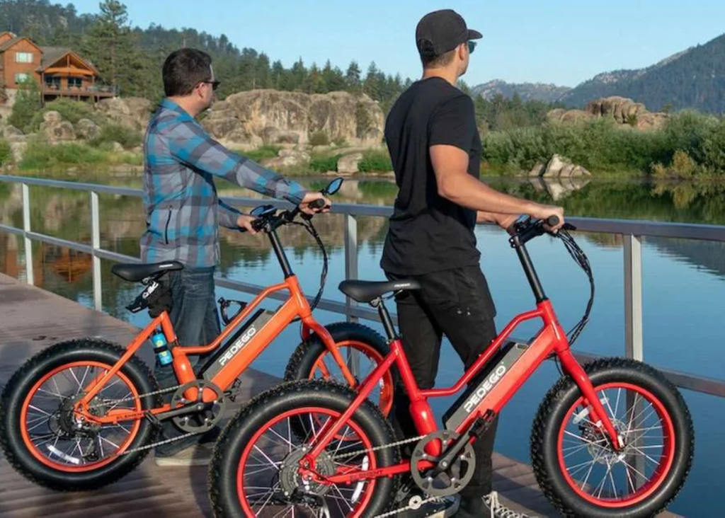 Two men stand on a wooden deck by a lake, looking at the water with their electric bikes.