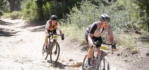 Cyclists racing on a gravel forest trail with trees lining both sides, kicking up dust while riding through a natural mountain environment.