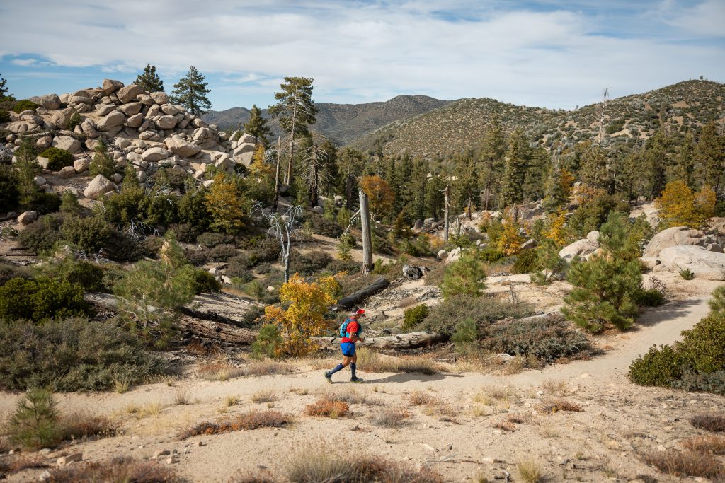 A runner in a red shirt and blue shorts navigates a trail surrounded by pine trees, shrubs, and large rocks at Big Bear.