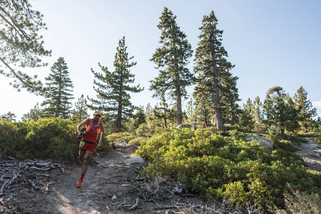 Holcomb Valley Trail Run-3