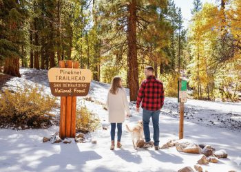 Man in flannel shirt and woman in cream sweater walking their yellow dog in light snow filled Pineknot Trailhead in Big Bear