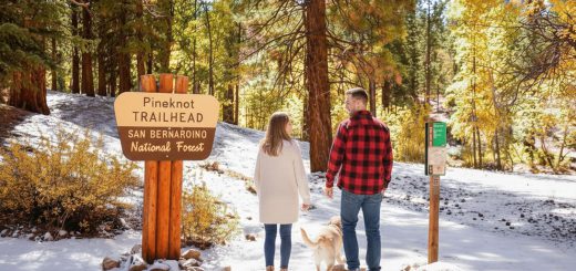 Man in flannel shirt and woman in cream sweater walking their yellow dog in light snow filled Pineknot Trailhead in Big Bear