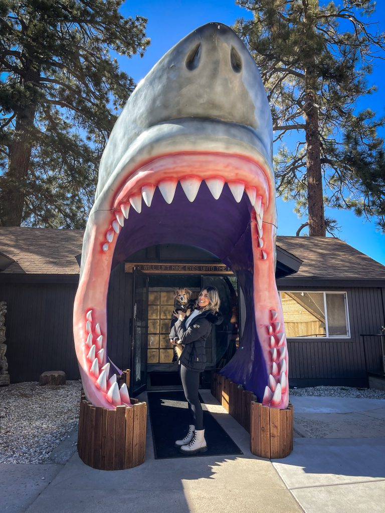 A smiling woman holding a small dog stands in front of a building with a giant shark head sculpture as its entrance in Big Bear.