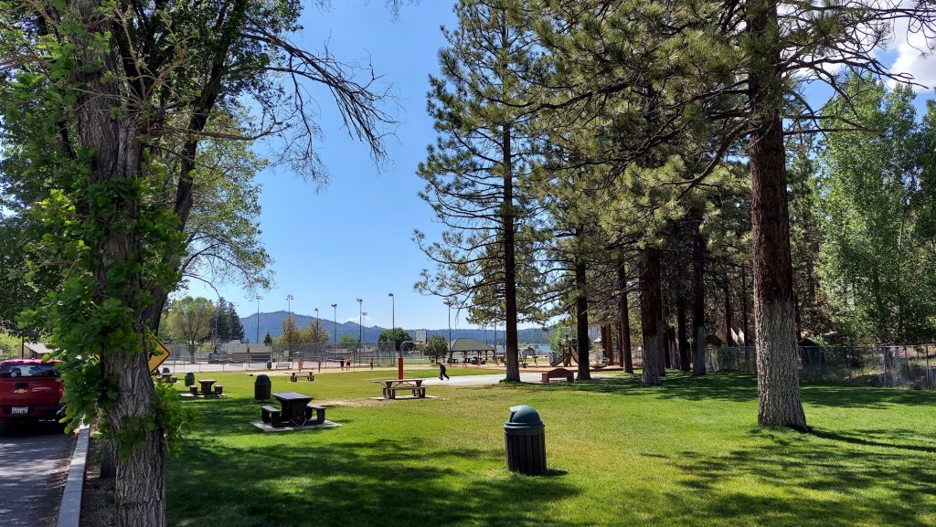 Open green space at Meadow Park in Big Bear Lake featuring picnic tables, towering pine trees, sports courts, playground areas, and mountain views.