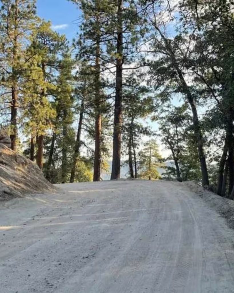 Unpaved section of Mill Creek Road (FS 2N10) winding through a peaceful pine forest in Big Bear with towering trees and natural scenery.