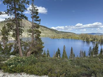 Wide panoramic view of a calm alpine lake surrounded by forested hills, pine trees in the foreground, and a clear blue sky with clouds.