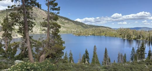 Wide panoramic view of a calm alpine lake surrounded by forested hills, pine trees in the foreground, and a clear blue sky with clouds.