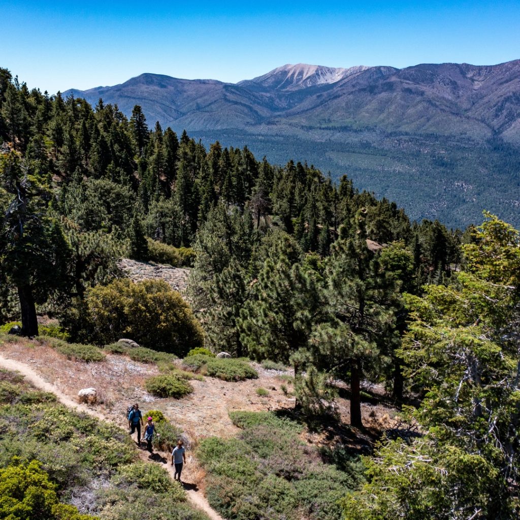 Hiking trail with a small group of hikers walking along a dirt path through a pine forest, overlooking a wide mountain valley and distant peaks under a clear blue sky.