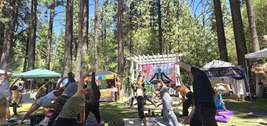 Community yoga class held outdoors at a wellness festival with people practicing surrounded by nature