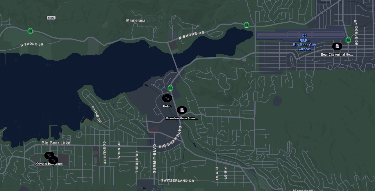 Map showing pet stores and animal supply locations around Big Bear Lake, including Petco and nearby pet businesses
