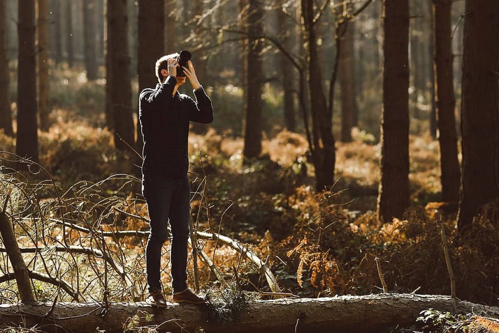 A beautiful view shows a person standing on a fallen log in a sunlit forest, holding binoculars, at Big Bear.