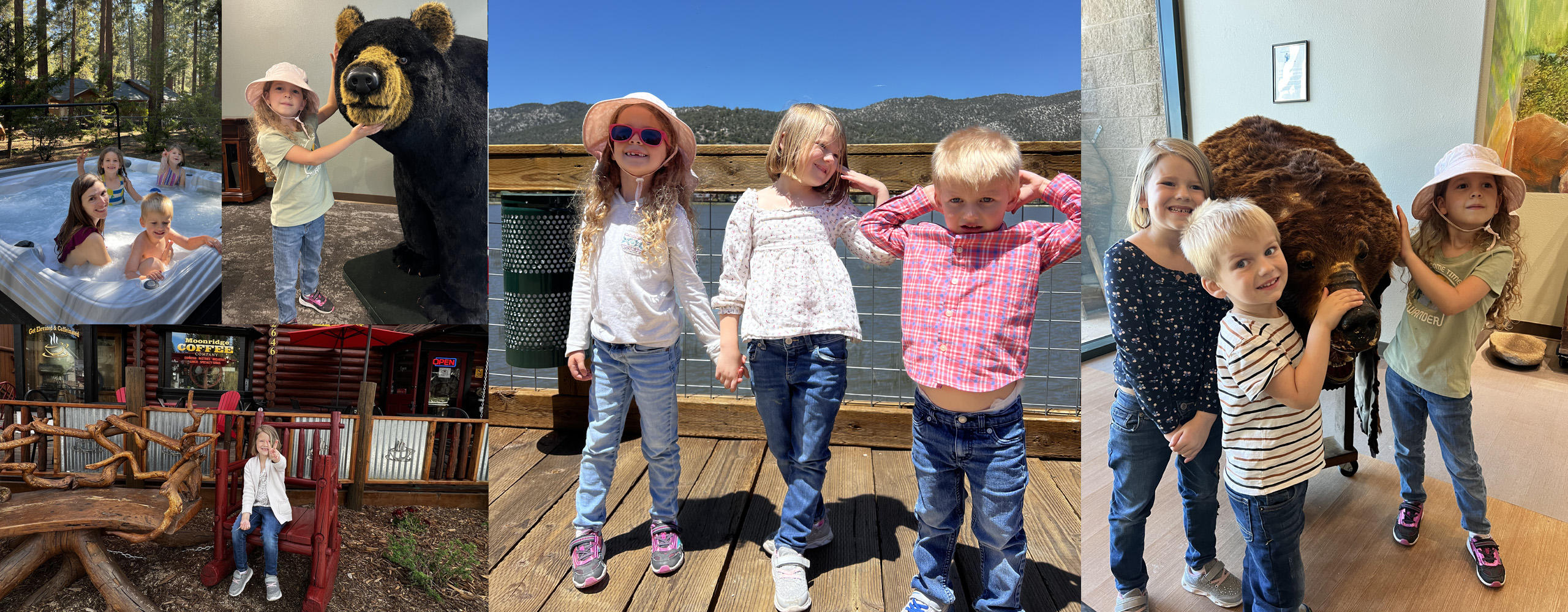 Sage and Rose Cabin Big Bear