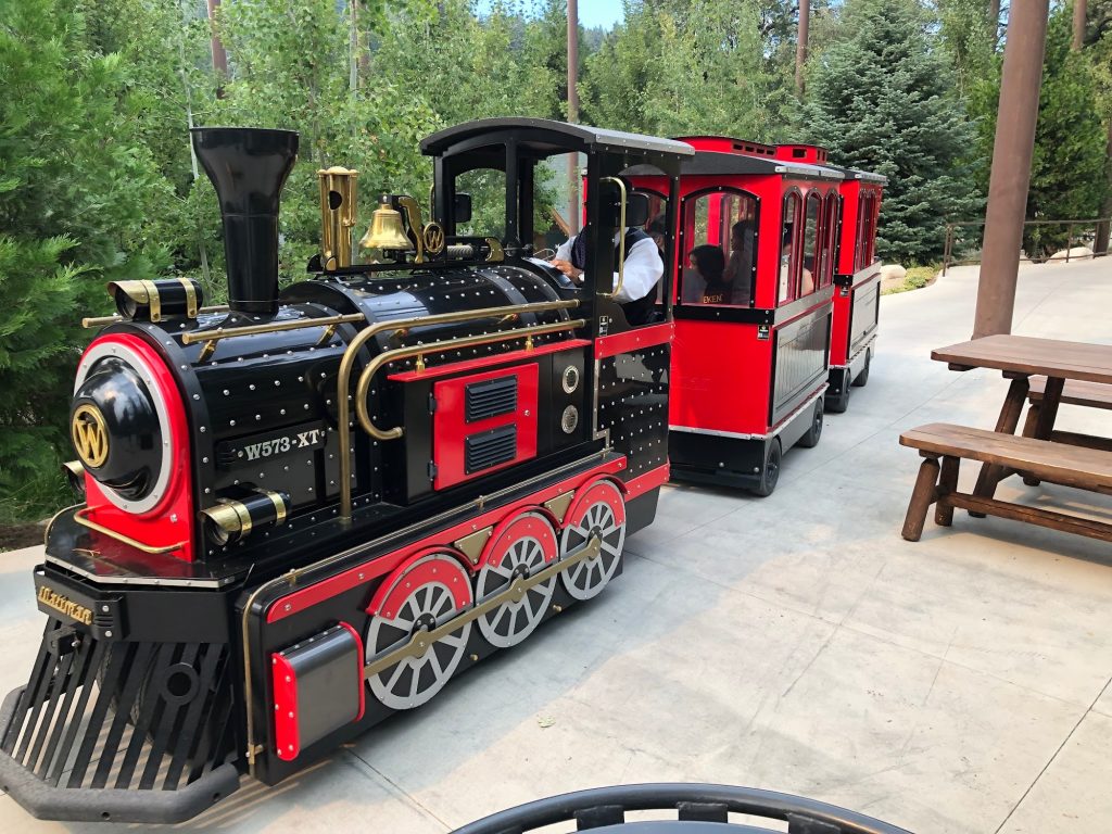 A small themed train ride at SkyPark adventure park with passengers seated, designed in a black and red locomotive style surrounded by forest scenery.