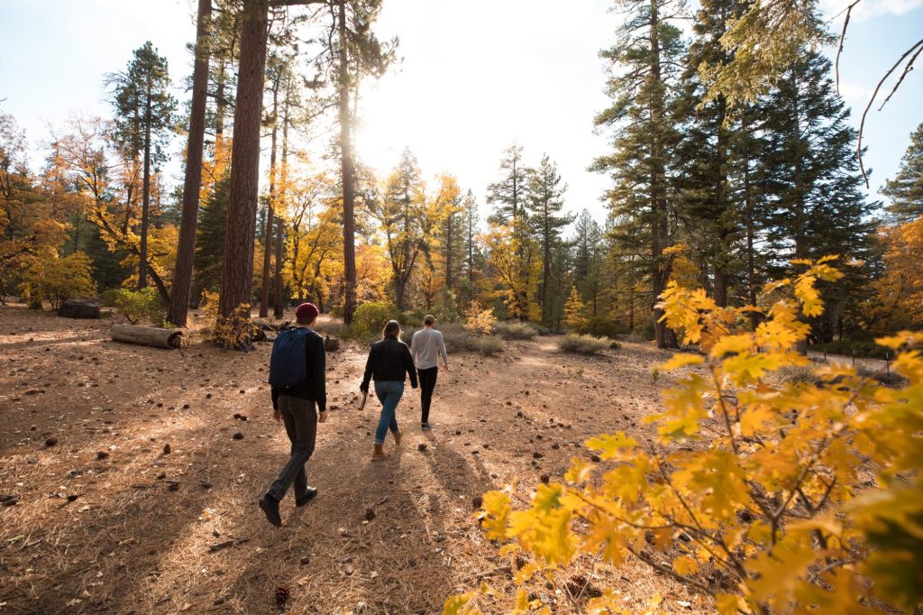 People walking through a peaceful Big Bear forest trail surrounded by golden autumn trees and tall pine trees