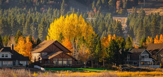 Scenic Big Bear Lake view with golden autumn trees, mountain landscape, and cabin homes reflecting on calm water
