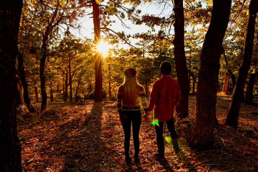 Couple enjoying a peaceful sunset walk through a pine forest with warm golden light and autumn scenery