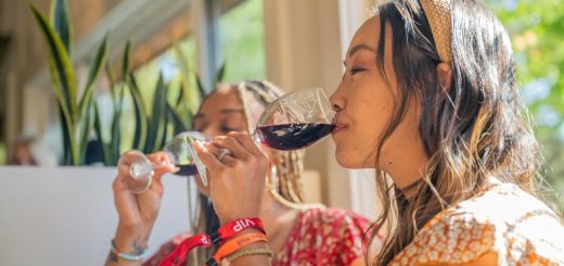 Two guests enjoying a wine tasting experience indoors with glasses of red wine